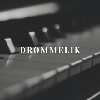 Droomvlucht De Musical