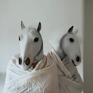 Les Chevaux