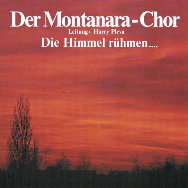 Montanara Chor