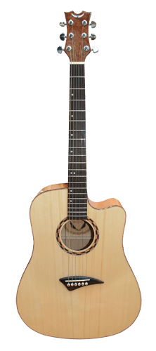 Spaanse gitaar