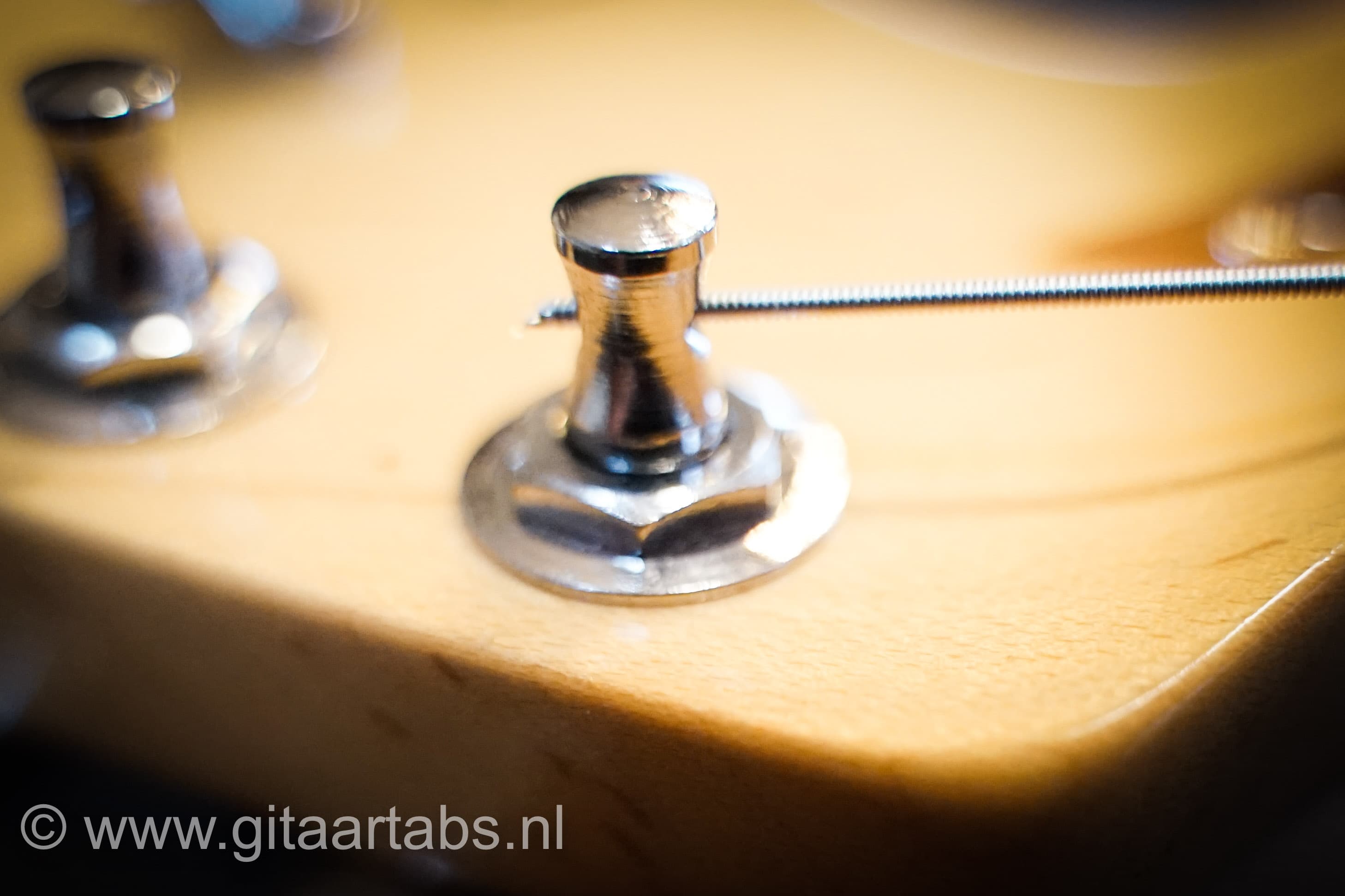 snaar stemtechniek